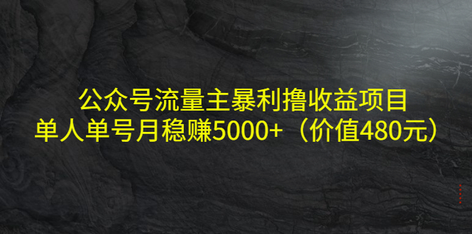公众号流量主暴利撸收益项目，单人单号月稳赚5000+（价值480元）-学习资源库