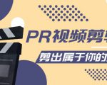 PR视频剪辑课:各种剪辑与视频特效玩法,剪出属于你的大片-学习资源库