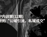 新媒体IP内训营(12期)，一套全新的“公域引流，私域成交”IP打法，直接带走-学习资源库