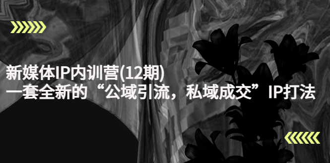 新媒体IP内训营(12期)，一套全新的“公域引流，私域成交”IP打法，直接带走-学习资源库