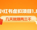 《小红书虚拟项目1.0》账号注册+养号+视频制作+引流+变现，几天就赚两三千-学习资源库