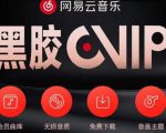 网易云音乐撸黑胶年卡及变现方法，收益可无限放大-学习资源库