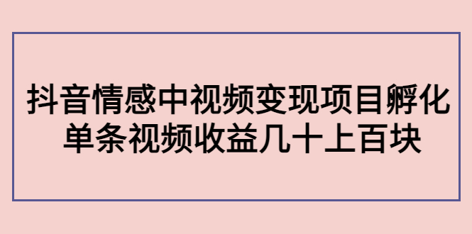 副业孵化营第5期：抖音情感中视频变现项目孵化 单条视频收益几十上百-学习资源库