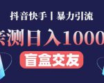 日收益1000+的交友盲盒副业丨有手就行的抖音快手暴力引流-学习资源库