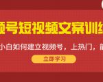 视频号短视频文案训练营：0基础小白如何建立视频号，上热门，能卖货！-学习资源库