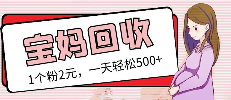 最新小红书母婴号宝妈粉回收项目，1个粉2元，一天轻松500+案例分享【粉丝包回收】-学习资源库
