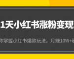 21天小红书涨粉变现营（第4期）：带你掌握小红书爆款玩法，月赚10W+秘密-学习资源库