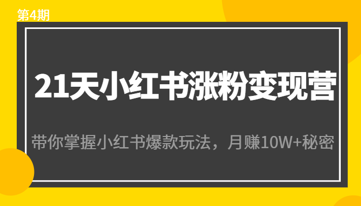 21天小红书涨粉变现营（第4期）：带你掌握小红书爆款玩法，月赚10W+秘密-学习资源库
