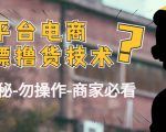 外面收费2980的全平台电商白嫖撸货技术(仅揭秘勿操作-商家防范必看)-学习资源库