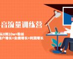 美业抖音流量训练营：从0到10w+粉丝 让你的门店用户增长+业绩增长+利润增长-学习资源库