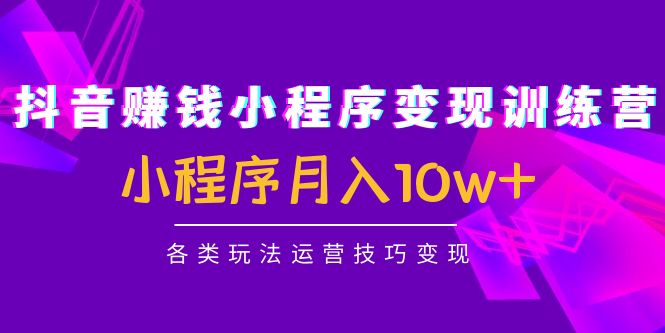 抖音赚钱小程序变现训练营：小程序月入10w+各类玩法运营技巧变现-学习资源库