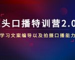 镜头口播特训营2.0版,学习文案编导以及拍摄口播能力(50节课时)-学习资源库