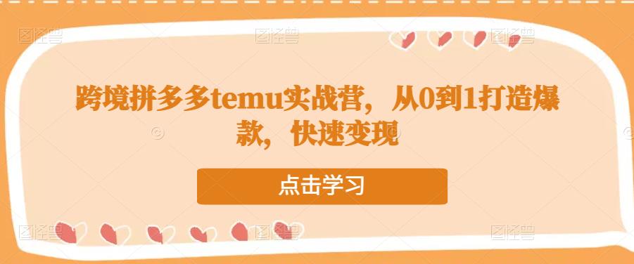 跨境拼多多temu实战营，从0到1打造爆款，快速变现-学习资源库