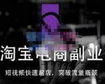 蓝Sir派·淘宝短视频快速起店,替代传统搜索方式,学会做一个不一样的淘宝店-学习资源库