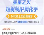 瑶瑶·自然流短视频IP孵化第二期,14天线上实战训练营,赋能100个人成为有数据能赚钱的独立IP孵化手-学习资源库