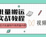 视频号批量搬运实战操作运营赚钱教程,傻瓜式批量制作高质量内容【附视频教程+PPT】-学习资源库