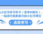 厦九九小红书学习年卡(全年IP孵化),沉浸式学习,一起成为有影响力的小红书博主-学习资源库