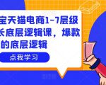 大圣淘宝天猫电商1-7层级盈利增长底层逻辑课,爆款的底层逻辑-学习资源库