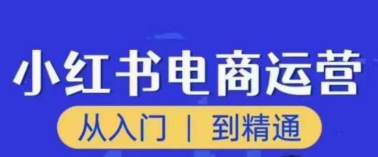 顽石小红书电商高阶运营课程，从入门到精通，玩法流程持续更新-学习资源库