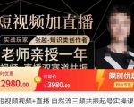 张越·短视频+直播,自然流三频共振起号实操课,短视频所有流量玩法讲解-学习资源库