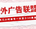 外面收费1980的最新国外LEAD广告联盟搬砖项目,单号一天至少30美金【详细玩法教程】-学习资源库