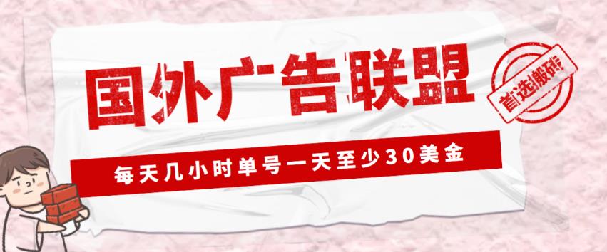 外面收费1980的最新国外LEAD广告联盟搬砖项目，单号一天至少30美金【详细玩法教程】-学习资源库
