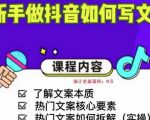 新手做抖音如何写文案,手把手实操如何拆解热门文案-学习资源库