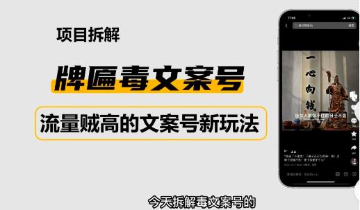 2023抖音快手毒文案新玩法，牌匾文案号，起号快易变现-学习资源库