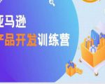 亚马逊产品开发训练营,能爆单的产品开发方法,助你突出重围-学习资源库