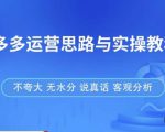 拼多多店铺运营思路与实操教程,快速学会拼多多开店和运营,少踩坑,多盈利-学习资源库