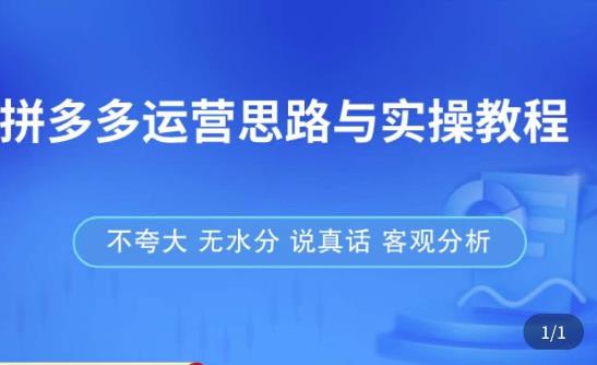 拼多多店铺运营思路与实操教程，快速学会拼多多开店和运营，少踩坑，多盈利-学习资源库