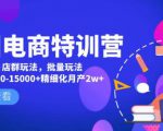 美团电商特训营：美团·店群玩法，无脑铺货月产出6000-15000+精细化月产2w+-学习资源库