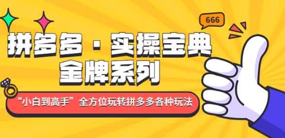 拼多多·实操宝典：金牌系列“小白到高手”带你全方位玩转拼多多各种玩法-学习资源库