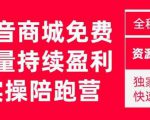 抖音商城搜索持续盈利陪跑成长营,抖音商城搜索从0-1、从1到10的全面解决方案-学习资源库