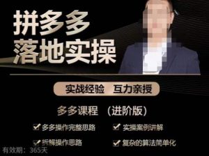 拼多多实战篇·落地实操:多多操作完整思路+实操案例讲解+拆解操作思路+复杂的算法简单化-学习资源库