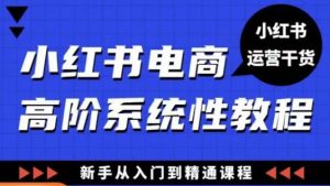 小红书电商高阶系统教程，新手从入门到精通系统课-学习资源库