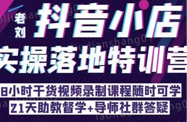 抖音小店实操落地特训营：抖音小店无货源精细化运营，抖店商品卡流量（22节）-学习资源库