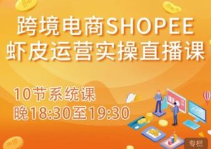 跨境电商Shopee虾皮运营实操直播课，从零开始学，入门到精通（10节系统课）-学习资源库