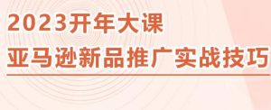 2023亚马逊新品推广实战技巧，线下百万美金课程的精简版，简单粗暴可复制，实操性强的推广手段-学习资源库