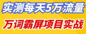 百度万词霸屏实操项目引流课，30天霸屏10万关键词-学习资源库