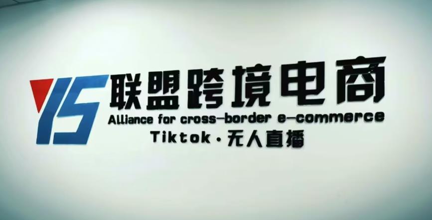 YS联盟·Tiktok无人直播，不出镜不剪辑不拍摄不发货无售后的跨境短视频躺赚玩法-学习资源库