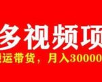 多多带货视频快速50爆款拿带货资格，搬运带货，月入30000【全套脚本+详细玩法】-学习资源库