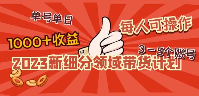 2023新细分领域带货计划：单号单日1000+收益不难，每人可操作3-5个账号-学习资源库