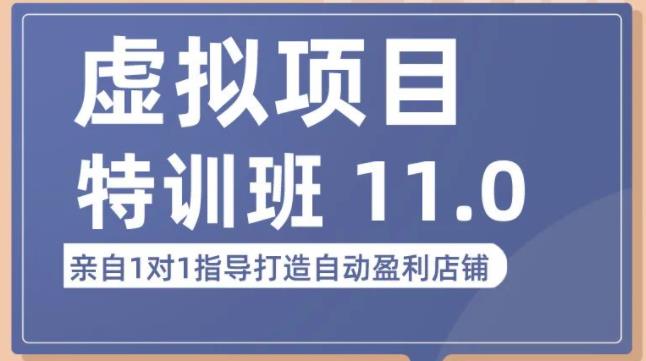 陆明明·虚拟项目特训班（10.0+11.0），0成本获取虚拟素材，0基础打造自动盈利店铺-学习资源库