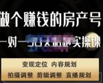 刘广标·同城房产号线上陪跑课,拍摄、剪辑、写文案、直播,做一个具有潜力价值的房产号-学习资源库