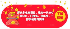 2023拼多多电商项目，稳定一天300～3000+，门槛低，出单快，一部手机即可完成-学习资源库