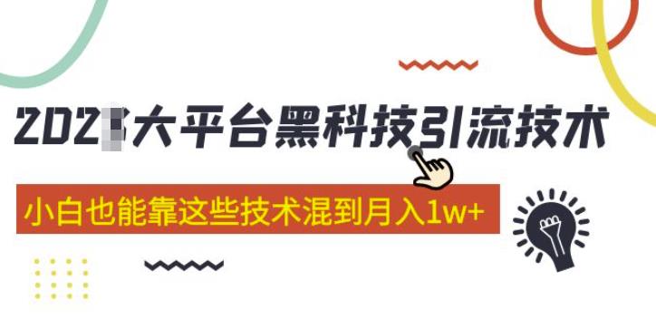 大平台黑科技引流技术，小白也能靠这些技术混到月入1w+(2022年的课程）-学习资源库