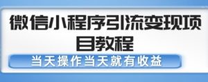 微信小程序引流变现项目教程,当天操作当天就有收益,变现不再是难事-学习资源库