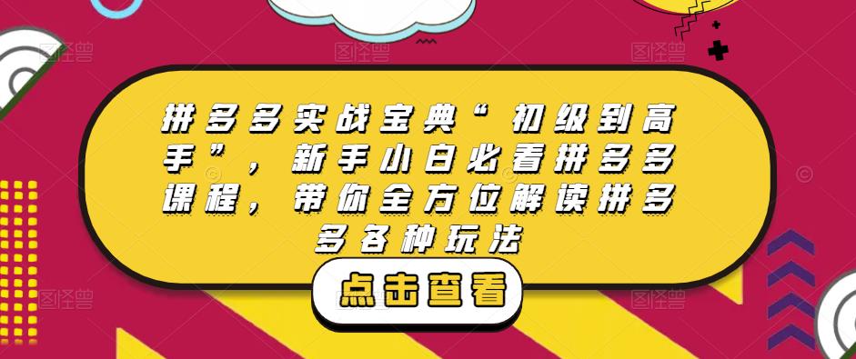 拼多多实战宝典“初级到高手”，新手小白必看拼多多课程，带你全方位解读拼多多各种玩法-学习资源库