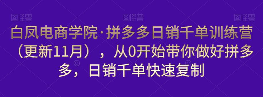 白凤电商学院·拼多多日销千单训练营，从0开始带你做好拼多多，日销千单快速复制（更新知2023年3月）-学习资源库